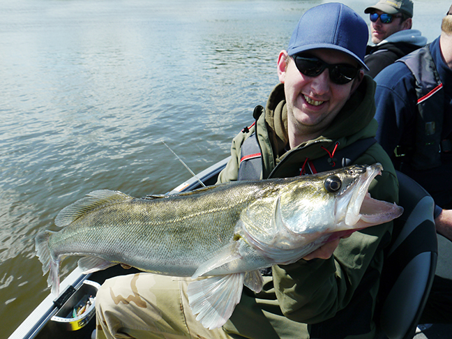Pro-Guiding-Zander15079