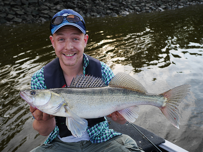 Pro-Guiding-Zander15091