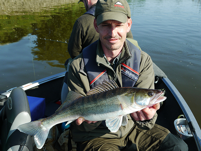 Pro-Guiding-Zander15095