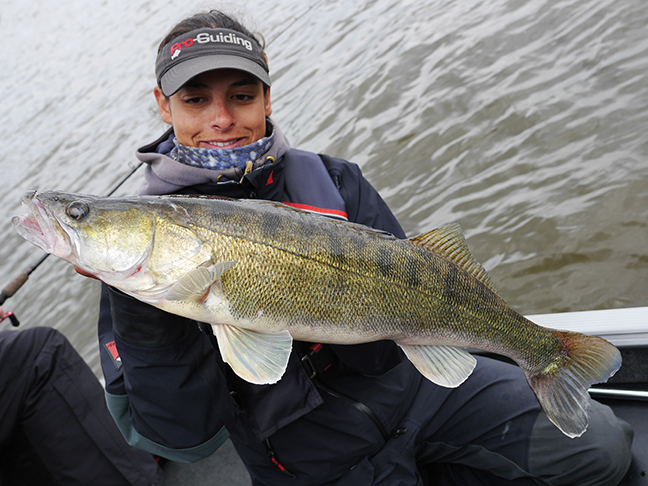Pro-Guiding-Zander15097