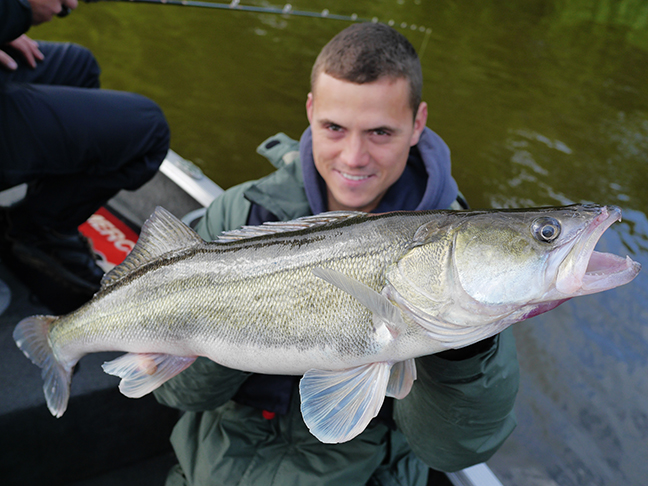 Pro-Guiding-Zander15099