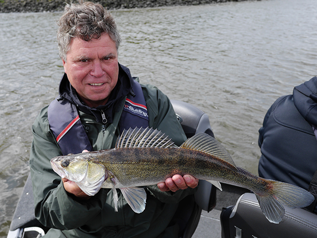 Pro-Guiding-Zander15100