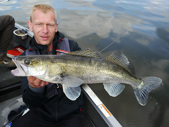 Pro-Guiding-Zander15109