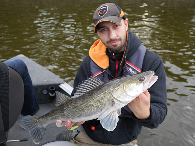 Pro-Guiding-Zander15115