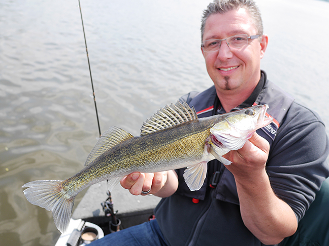 Pro-Guiding-Zander15117