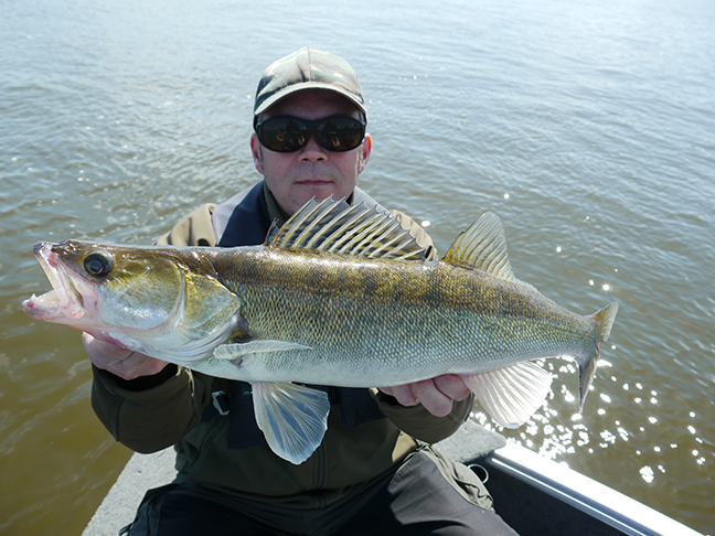 Pro-Guiding-Zander15141