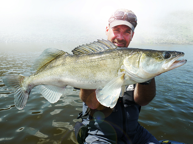 Pro-Guiding-Zander15143