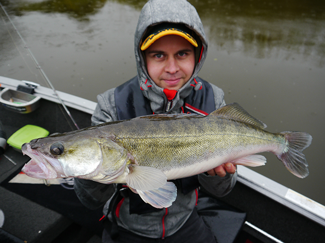 Pro-Guiding-Zander15156