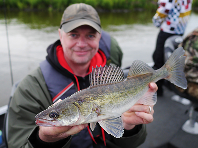 Pro-Guiding-Zander15158
