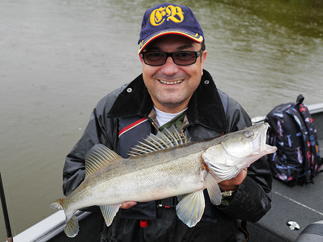 Pro-Guiding-Zander15160