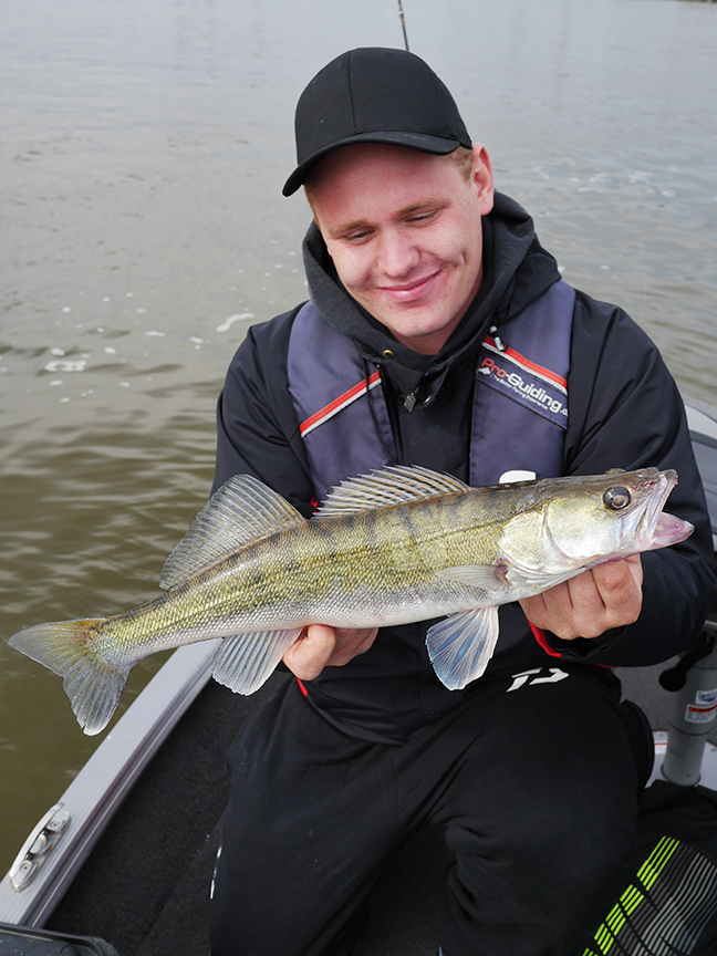 Pro-Guiding-Zander15167