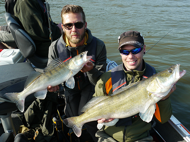 Pro-Guiding-Zander15180