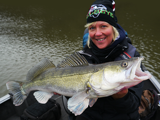 Pro-Guiding-Zander15306