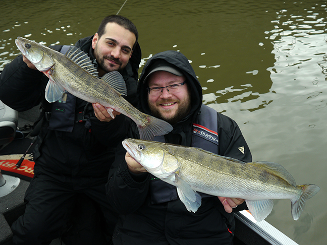Pro-Guiding-Zander15311