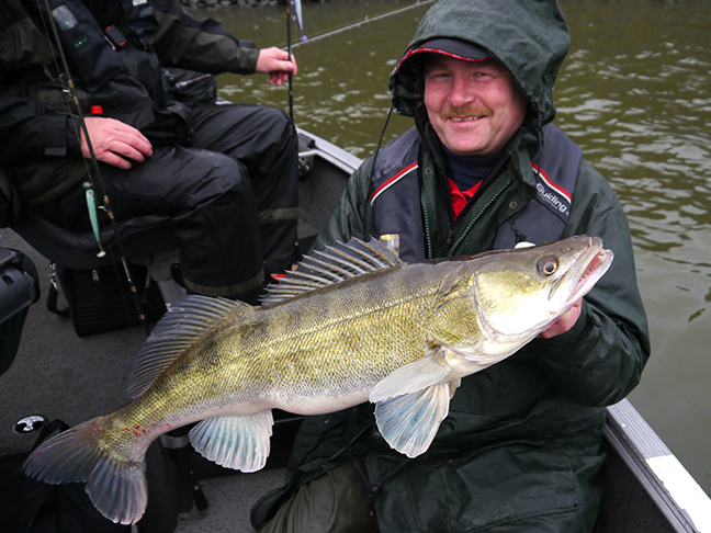 Pro-Guiding-Zander15314