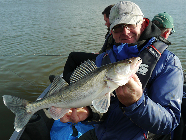 Pro-Guiding-Zander15318