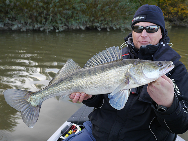 Pro-Guiding-Zander15333