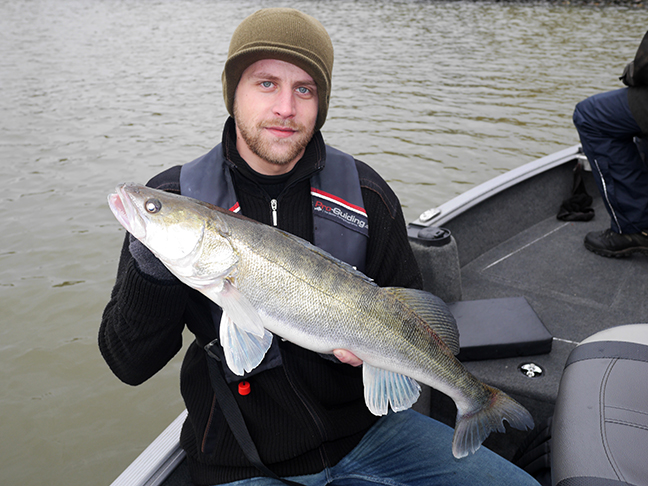 Pro-Guiding-Zander15334