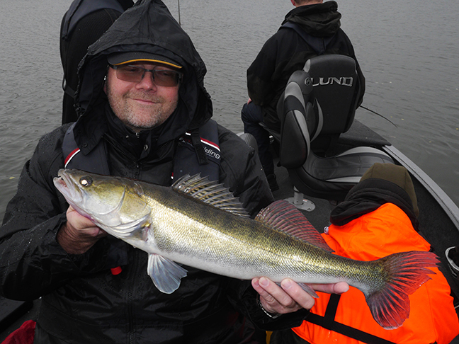 Pro-Guiding-Zander15335