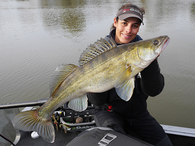 Pro-Guiding-Zander15337