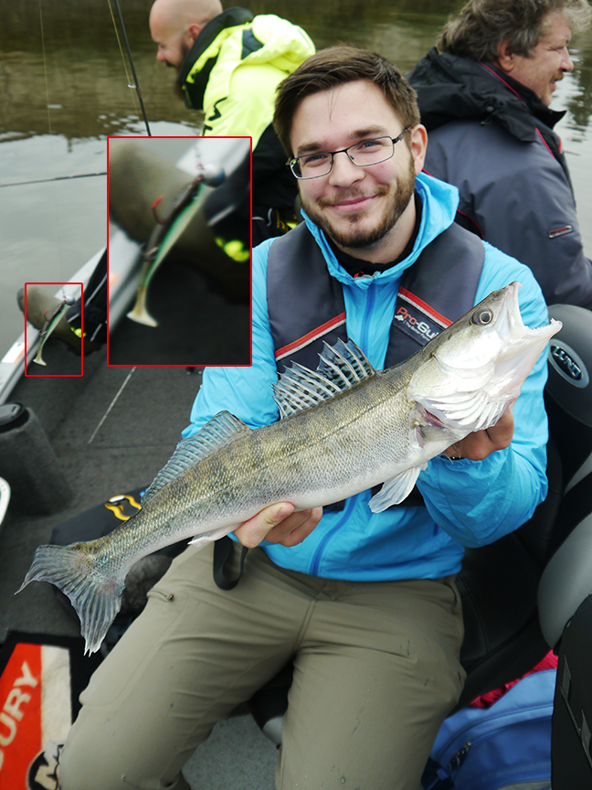 Pro-Guiding-Zander15360