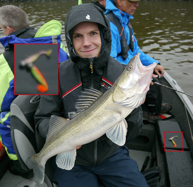 Pro-Guiding-Zander15361