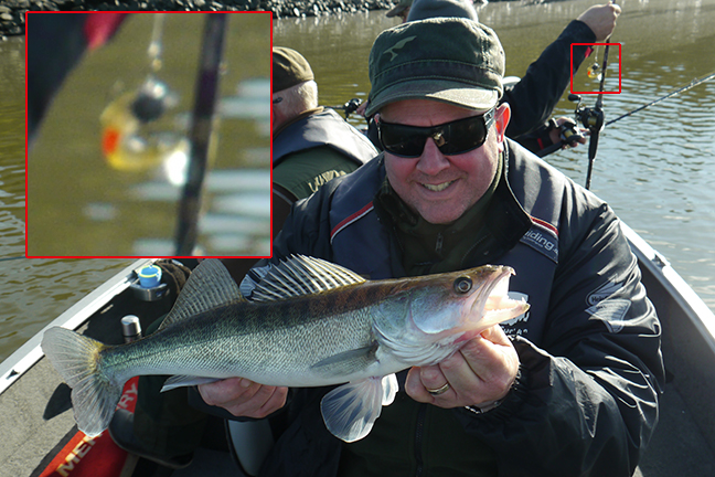 Pro-Guiding-Zander15362