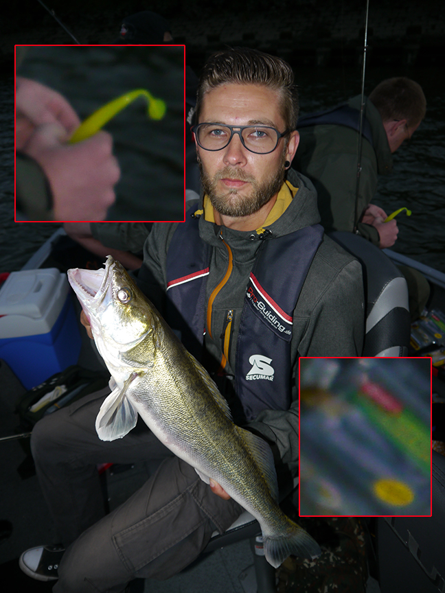 Pro-Guiding-Zander15364
