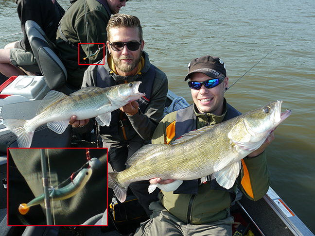 Pro-Guiding-Zander15367