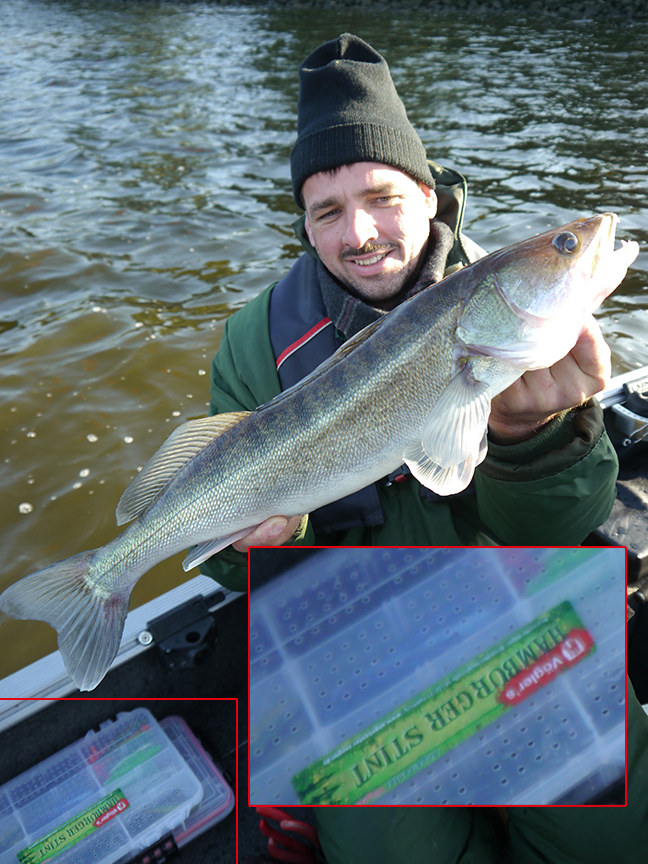 Pro-Guiding-Zander15375