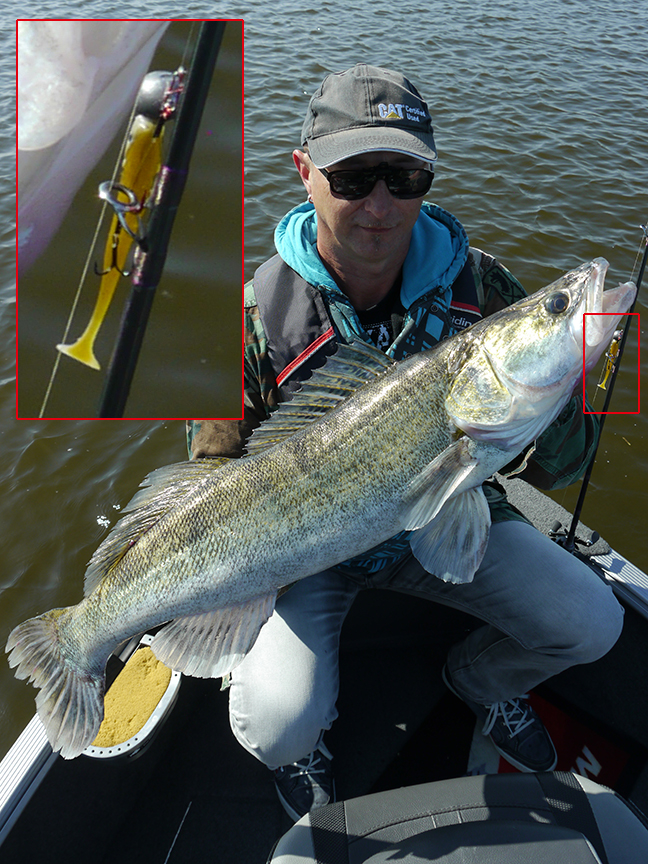 Pro-Guiding-Zander15377