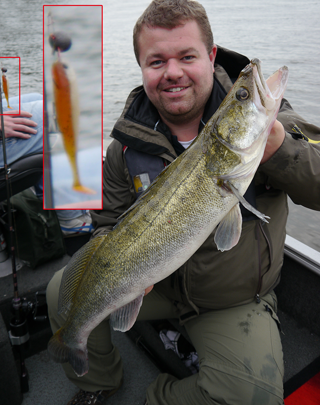 Pro-Guiding-Zander15378
