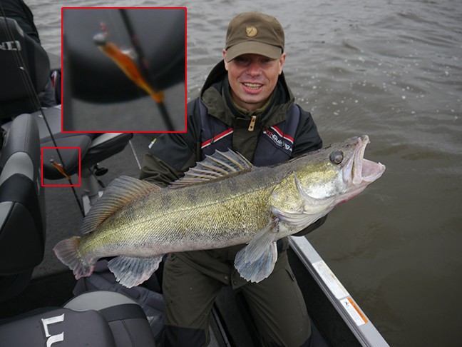 Pro-Guiding-Zander15380