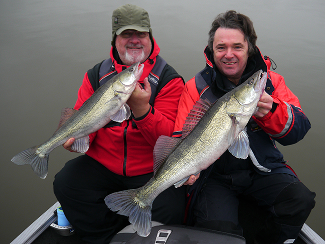 Pro-Guiding-Zander15388