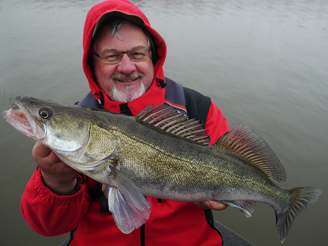 Pro-Guiding-Zander15390