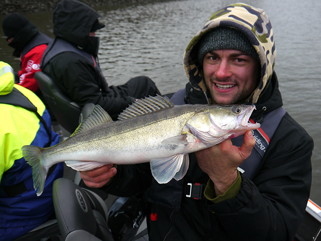 Pro-Guiding-Zander15392