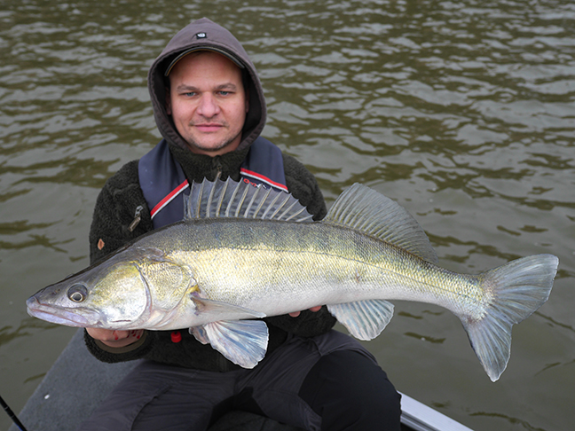Pro-Guiding-Zander15401