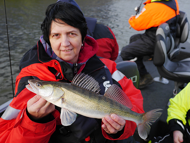Pro-Guiding-Zander15404