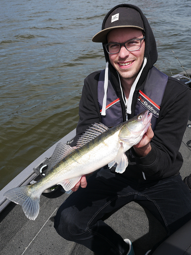Pro-Guiding-Zander16010