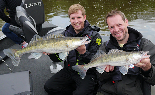Pro-Guiding-Zander16014