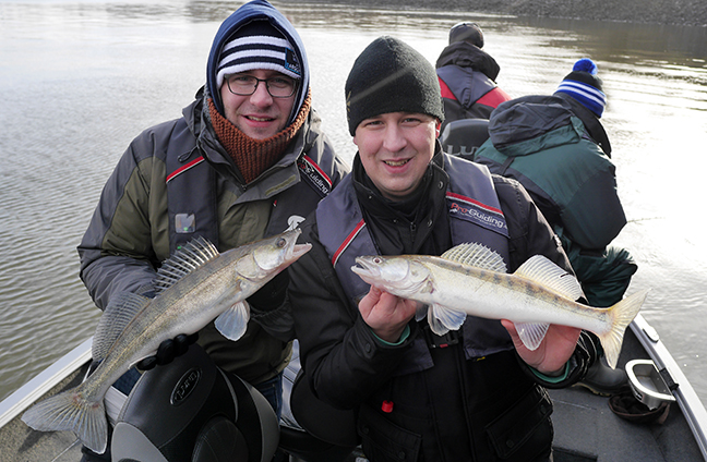 Pro-Guiding-Zander15395