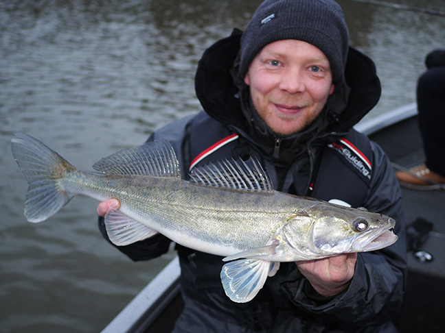 Pro-Guiding-Zander15398