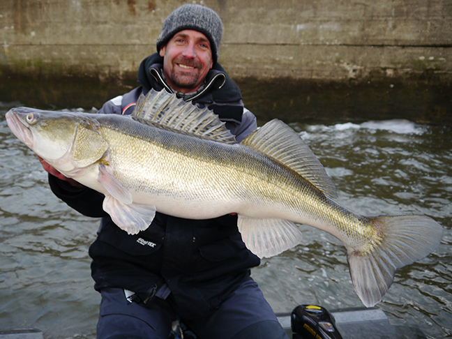 Pro-Guiding-Zander15410