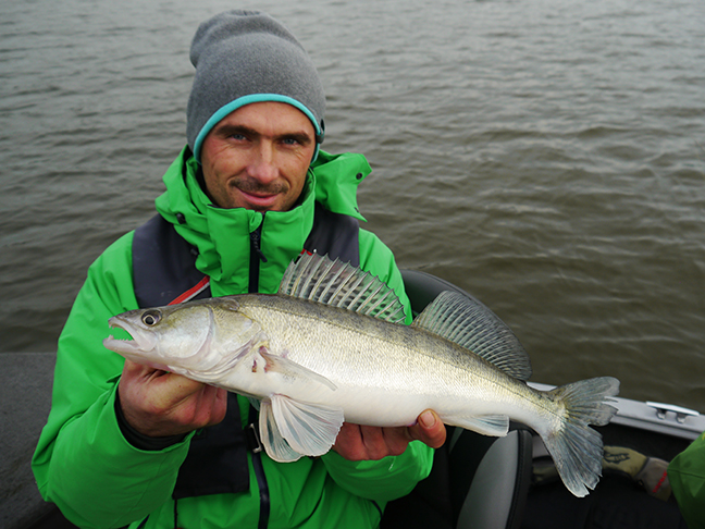 Pro-Guiding-Zander15411
