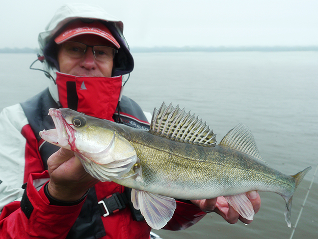 Pro-Guiding-Zander16026
