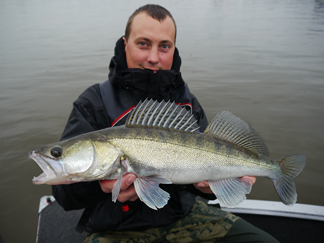Pro-Guiding-Zander16028