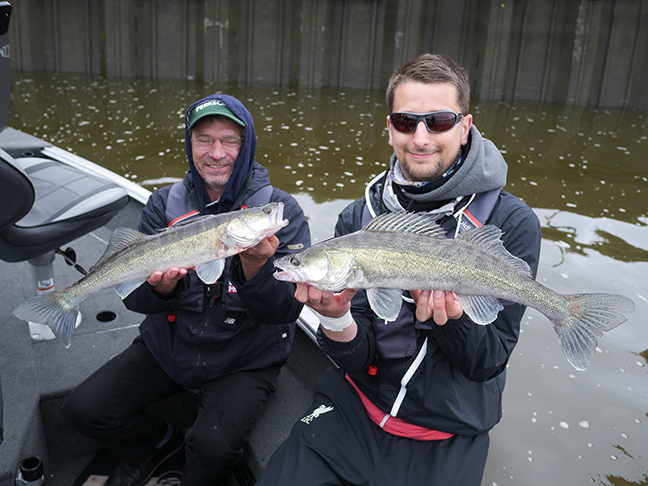 Pro-Guiding-Zander16029
