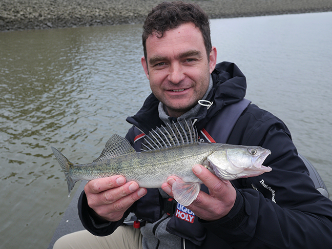 Pro-Guiding-Zander16030
