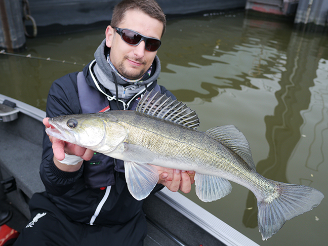Pro-Guiding-Zander16031