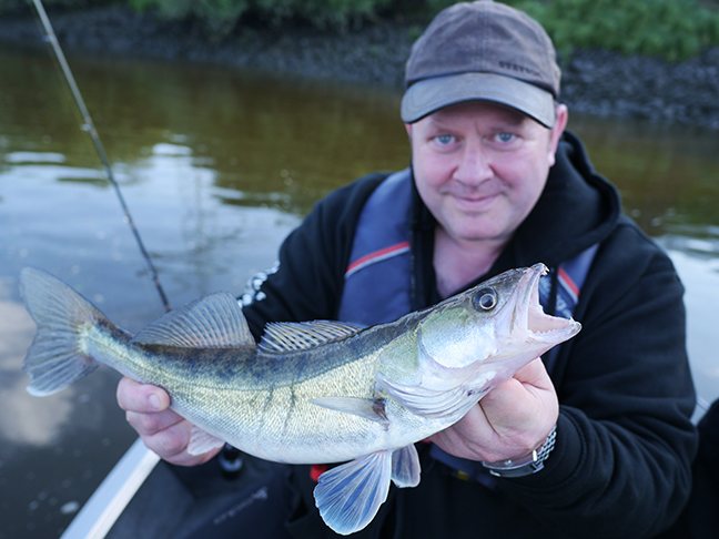 Pro-Guiding-Zander16046